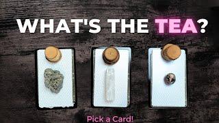 What's TEA?  Current GOSSIP about you 🫣 Pick a Card Timeless Tarot Reading What are people saying?