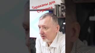 Гиркин Стрелков тараканы дома Россия информация Украина #shorts