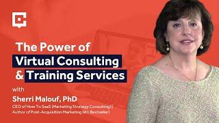 The Power of Virtual Consulting & Training Services