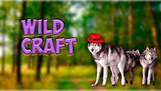 Как получить кристаллы+(бонус) Как залесть на гору возле босса -Wild Craft