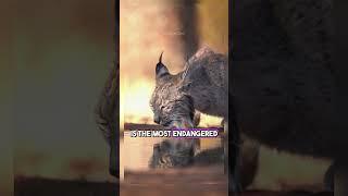 fascinating animal facts that will expand your knowledge!