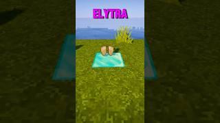 How to Get Elytra Without Going To End ? | Minecraft in Hindi #shorts #minecraft