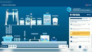 Restriction Enzyme Digest(labXchange)