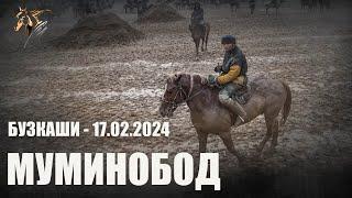 Бузкаши 17.02.2024  н.Муминобод