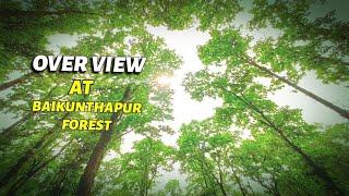 EXPLORE FAFRI FOREST SILIGURI - NATURE VIEW -  BAIKUNTHAPUR FOREST