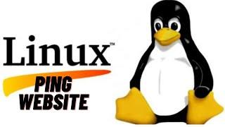 How to ping any website in Linux