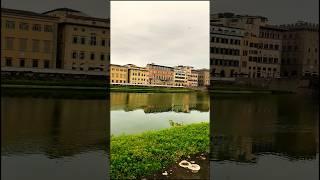 #florence #firenze #toscana #travel #live #foryou #lifestyle #short #love #youtube #sunday #arno