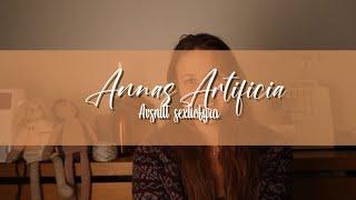 Annas Artificia - Avsnitt sexiofyra