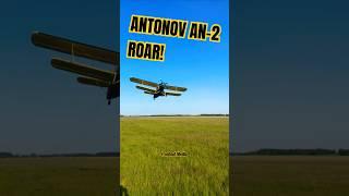 ANTONOV AN-2 PURE RADIAL ENGINE ROAR! #an2 #radial #radialengine #aviation #antonov