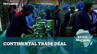 Africa Matters: Continental Trade Deal