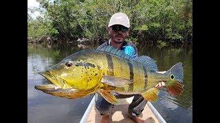 Cristian Vanegas. (Capitulo 1) PEACOCK BASS COLOMBIA - Rio Mataven. 15-21 enero 2019.