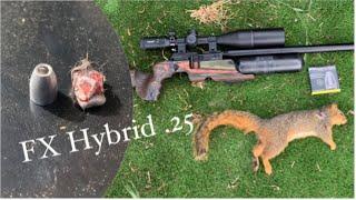 FX Hybrid .25, First impression.. Devastating!