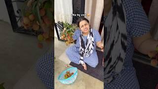 ধুনীয়া লিচু বেপাৰী | Assamese mini vlog | #trending #youtubeshorts #shorts #food #funny #comedy