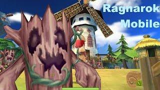 Ragnarok Mobile on NOX Emulator - Priest + Assassin grinding