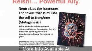 Healthy Coffee- Studies Show Reishi Benefits People With A Variety Of Ailments