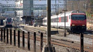 Die SBB- Pünktlich auf die Sekunde #train #switzerland #railway