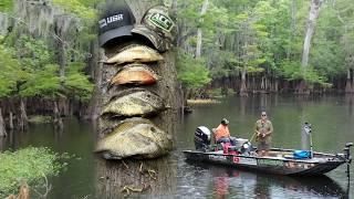 "Challenging Low Water River Fishing for Shellcracker & Bream: Worms & Crickets on Fire!"