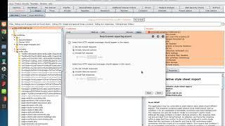 Burp Suite 2 Professional: Export a Scan Report