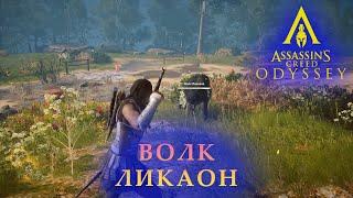 Как убить волка Ликаон? | Assassin’s Creed Odyssey