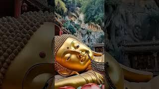 #阿弥陀佛#观音菩萨大慈大悲#佛度有缘人#佛菩萨#极乐世界#Amitabha Buddha#Guanyin Bodhisattva#Buddhas and Bodhisattvas