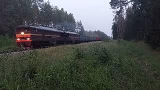 2TE116-662 (LDZ Cargo) with coal wagons going towards Krustpils