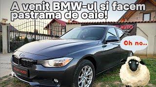 A VENIT BMW-ul ȘI FACEM PASTRAMĂ DE OAIE