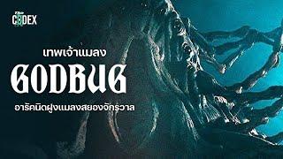 Godbug เทพเจ้าแห่ง Arachnid กองทัพหมื่นขาสยองจักรวาล | The Codex