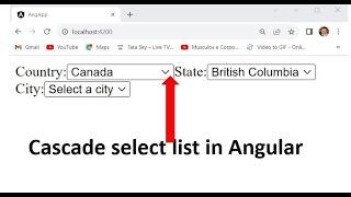 Cascade Select List like Country state and city in Angular..