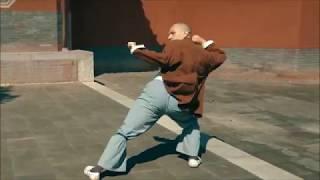 Rare Shaolin Kung Fu Form - Da Tongbei Er Lu (part 2)