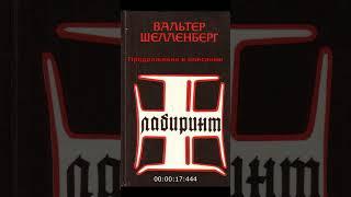 Лабиринт. Мемуары гитлеровского разведчика - Шелленберг Вальтер