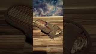 Первое видео тапка Алега
