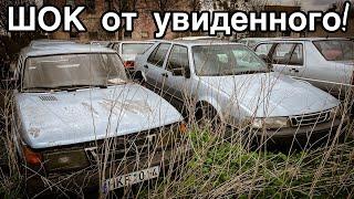 НАШЁЛ много БРОШЕННЫХ авто. РЕДКИЕ Мерседесы и Волги - Заброшенная Прибалтика.