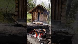 Building a Log Cabin part 14/15 #survival #fishing  #bushcraft #outdoors