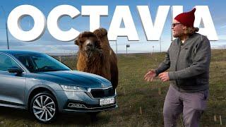 Новая Skoda OCTAVIA - Большой тест-драйв