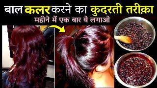 Nisha mehndi बालों में लगाने का सही तरीका | Burgundy Hair Color At Home | Nisha Mehndi for hair