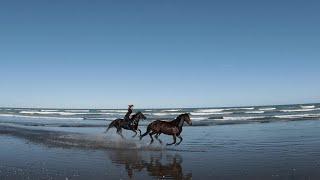 Horses running on a New Zealand beach? Yes please!