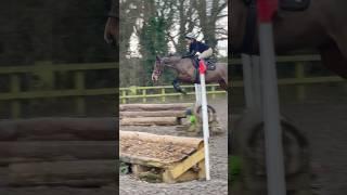 Arena eventing with Dazzle yesterday #horse #crosscountry #equestrian #eventing