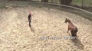 The togetherway - Liberty mit QH Pauls Jupiter Doc