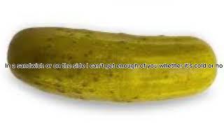 super pickle {into the pickle verse] official lyric video