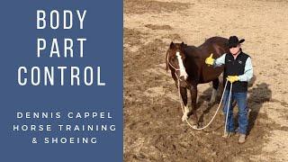 Body Part Control Exercises