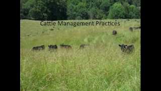 How I have Extended My Grazing Season