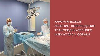 Хирургическое лечение повреждения транспедикулярного фиксатора у собаки