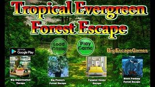 Big Tropical Evergreen Forest Escape Walkthrough [BigEscapeGames]