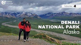 Alaska | Denali National Park | USA | 4K UHD