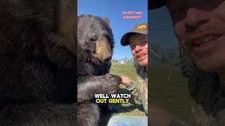 Pooh Bear! #animalsofyoutube #animals #bears