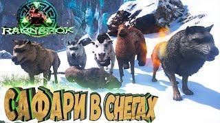 САФАРИ В СНЕГАХ - ARK Survival Evolved Выживание на Ragnarok #25