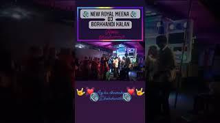 New Royal Meena DJ Borkhandi Kalan tonk Raj   new top dj
