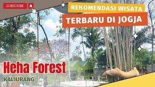 Rekomendasi Wisata Baru dan Viral di Jogja - Heha Forest Kaliurang