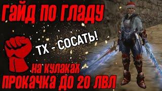 ГАЙД ПО ГЛАДУ ПРОКАЧКА до 20 ЛВЛ В LINEAGE 2