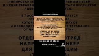 операція по детараканізації "уті-путі"